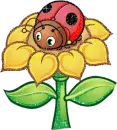 girasol