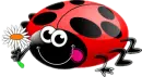 escarabajo