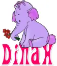 Dinah elephant