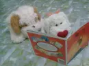 Hugua & Xiao Kai