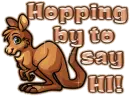 Hopping by Hi kngroo
