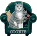 CAT IN CHAIR