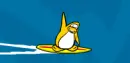 penguin.surfing