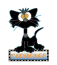BLACK CAT BLINKIE