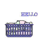 CAT IN BASKET