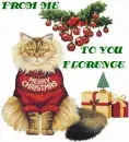 CAT WEARING MERRY CHRISTMAS SWEATER