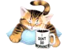 CAT ON PILLOW
