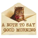 CAT IN ENVELOPE