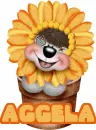 Aggela