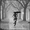 Rainy Day