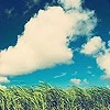clouds