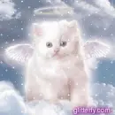 kitty