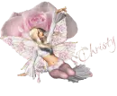 Pink Fairy Christy