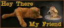 Cat and Mouse Greetings