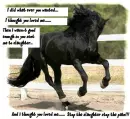 Stop Horse Slaughter