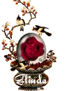 roses name-Glinda