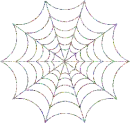 Spider Web