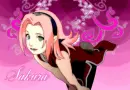 sakura
