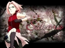 Sakura shippuden