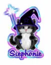 Stephanie~Wizard Cat