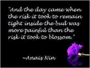 Anais Nin Quote