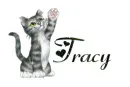 Tracy