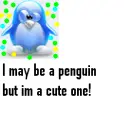 cute penguin