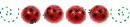 Cute Ladybugs