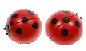 Little  Ladybugs