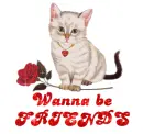 wanna be friends