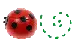 Cute Ladybug