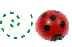 Cute Ladybug