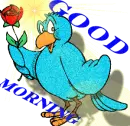 good morning