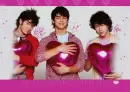 The Jonas Brothers