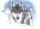 Wolves