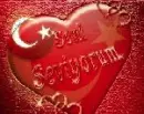 seni seviyorum