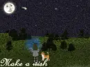 Make a wish