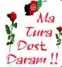 Ma Tura Dost Daram