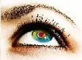 turkey eye