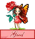Gied
