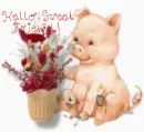 Hello Sweet Friend