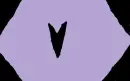 Awesome purple and black