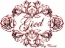 Gied