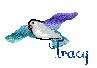 tracy's bird