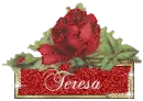 Teresa