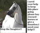stop slaughter