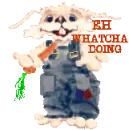 RABBIT EATING CARROT