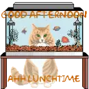 CAT LOOKING AT FISH TANK