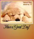 Great day dog sleeping