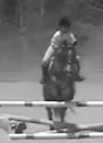 HunterJumper